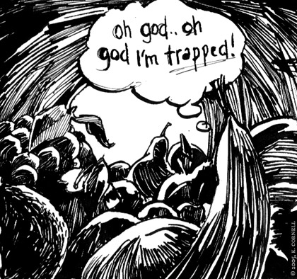 Panic in the Cornucopia