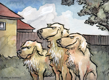 Wild Dogs