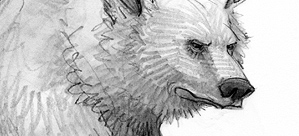 The Damned Tyrannobear