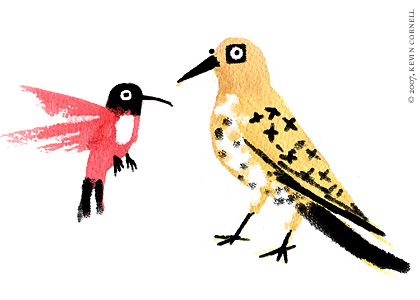 Hummingbirds and Woodpeckers
