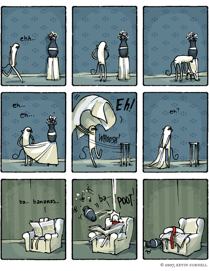 Mojo And The Vase