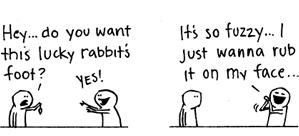Foot of the Rabbit